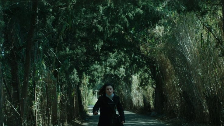 day-i-lost-my-shadow-forest-03