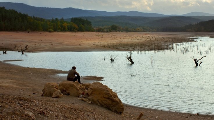 wild-pear-tree-beach-01